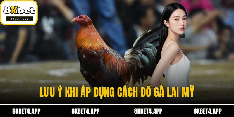 Lưu ý khi áp dụng cách đổ gà lai Mỹ