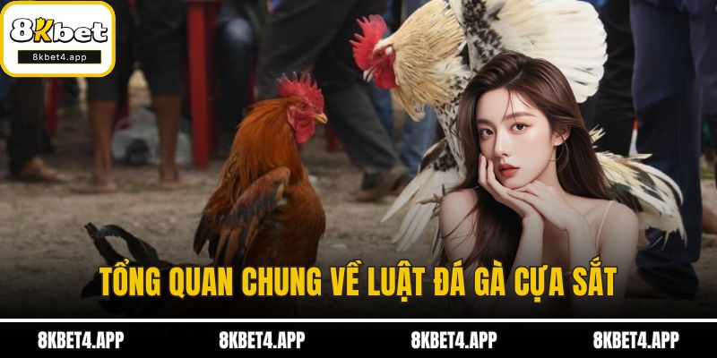 Luật Đá Gà Cựa Sắt - Quy Định Và Điều Kiện Thi Đấu Chuẩn Mực Tổng quan chung về luật đá gà cựa sắt